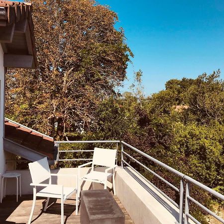 Hotel La Villa Saint-Pierre-dʼIrube 외부 사진